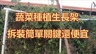 簡單便宜拆裝方便的蔬菜生長架|蔬菜種植的好幫手