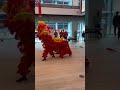 Dragon dance Chinese lunar year celebrations #shorts #ytshorts #sanu #krishu #krishuskingdom