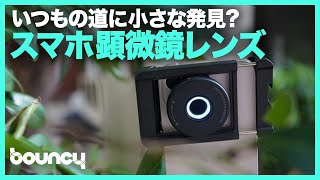 日常に潜む小さな世界を見つけ出せ！あらゆるスマホに対応したスマホ用マクロ・顕微鏡レンズ「MS009」