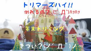 スーパー忙しい年末トリミングはトリマーズハイ！パパンのハッピートリミング♪