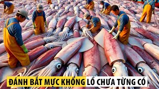 Những Vụ Thu Hoạch Đại Dương ‘Hoành Tráng’ Nhất Thế Giới Mà Bạn Không Thể Tin Nổi