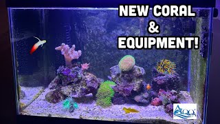 Adding New Coral and Equipment to my Reef Tank! Update After Tank Crash!