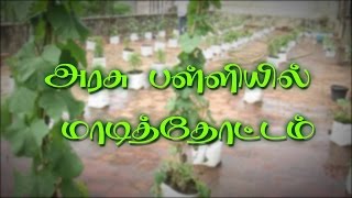 புதுச்சேரி அரசு பள்ளியில் மாடித்தோட்டம்