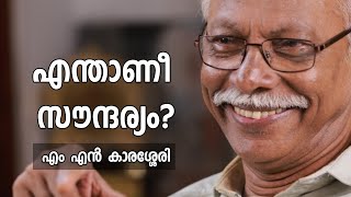 എന്താണീ സൗന്ദര്യം? | What is beauty? | MN Karassery