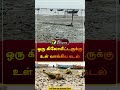 ஒரு கிலோமீட்டருக்கு உள் வாங்கிய கடல் ramanathapuram ocean shorts