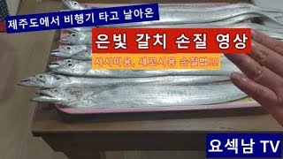 (요섹남 TV) 제주도 은갈치 사시미, 세꼬시용으로 손질법, 특급배송 온 갈치 사시미로 먹어보자~^^