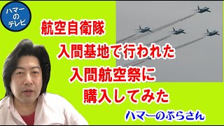 航空自衛隊の入間基地で行われた航空祭に潜入してみたブルーインパルスも見られたよ