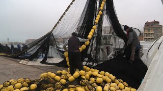 Bleue Occitanie avec les thoniers senneurs qui préparent la campagne de pêche au thon rouge 2020