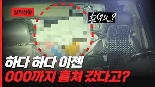 하다 하다 이젠 000까지 훔쳐 간다니...😱