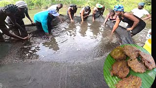 BEST (CHI CHI) TRI TRI CATCH CLEAN COOK IN ST. VINCENT THE TRADITIONAL WAY pt 1 Ep.36