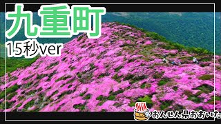 【大分県】おんせん県おおいた観光動画　～九重町：ダイジェスト15秒～