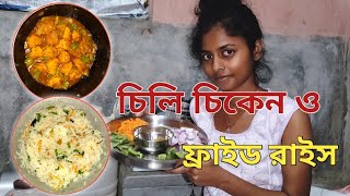 পিকনিক শুরু। Picnic start । fried rice \u0026 chili chicken 🍛🍗