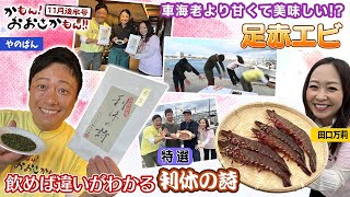 【泉佐野市】クルマエビよりも甘い！？千利休ゆかりの地で味わう飲めば違いがわかる名品！かもん！おおさかもん！！2024年11月後半号