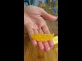 how to segment your oranges or citrus fruit… 🍊 shorts howto kitchenhacks