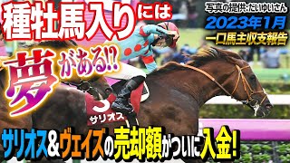 【一口馬主収支報告】2023年1月！グローリーヴェイズとサリオスの種牡馬売却金で潤う瞬間がついに…！【節約大全】vol.1018