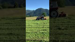 Mähen mit Lindner 1500 A \u0026 Pöttinger SM 2 und Case IH Farmall 75 \u0026 Pöttinger Novadisc 225