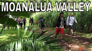 Discover Sacred Healing on a Moanalua Valley Hike