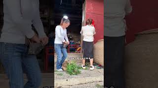 明事理的丈母娘，把钱拿给上门女婿让他回家照顾妈妈！ #funny #喜剧 #comedy #喜剧 #搞笑 #喜劇