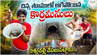 నీళ్లుచల్లి కొర్రమీను చేపలు పట్టాము🐟 || ఇంత చిన్న తూములో ఎన్ని చేపలున్నాయో చూడండి😮 #snakeheadfish