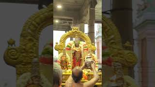 Sri Parthasarathy perumal after purappadu and goshti sathumarai, thiruvandhikkaapu 🙏#triplicane