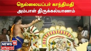 Nellaiappar Temple | நெல்லையப்பர் காந்திமதி அம்பாள் திருக்கல்யாணம் | Kanthimathi Amman