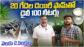 20 గేదెల డెయిరీ ఫామ్‌తో డైలీ 100 లీటర్లు Earn 250000 Monthly From Dairy Farm || Village Agriculture