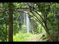 Tigoni Day Hike & Waterfalls Chase Tour (Beginners & Kids friendly)