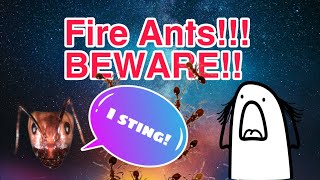 Fire Ants! Beware! Don't Try This At Homeπ³π± #fireants #shorts #dangerous #nature