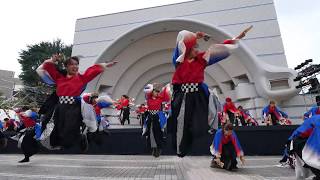 [4K] 関東学院大学”誇咲” / スーパーよさこい2019 / 1日目 / 代々木公園ステージ