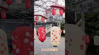 2025大年初五無極天元宮賞櫻趣｜花見櫻花季｜三色櫻｜無極真元天壇｜