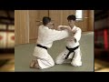 suwari waza kata mochi nikajo osae 2 座り技片手持ち二ヶ条抑え 二