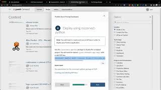 Deploying a Python application with Posit Connect