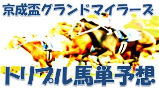 京成盃グランドマイラーズ2023予想｜相手難解な一戦【2023年3月16日船橋競馬トリプル馬単予想】