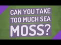 Can you take too much sea moss?