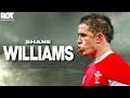 Shane Williams | Ultimate Tribute