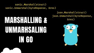 Go: Efficient Marshalling & Unmarshalling | SONIC | JSON
