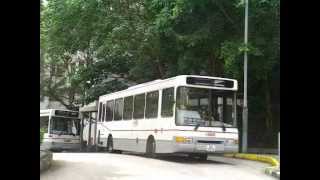 [巴士] 香港バス 九龍巴士 KMB Rt.211 Dennis Dart 定點攝影 翠竹花園總站 2012-06