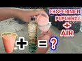 EKSPERIMEN PUPUK KCL + AIR. APAKAH YANG AKAN TERJADI?