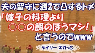 【スカッとする話 嫁姑】夫の留守に週2で凸するトメ。「嫁子の料理より○○のほうがマシ！」と言うのでwww ねこかん物語1【デイリー スカッと】