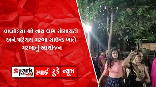 વાઘોડિયા શ્રી નાથ ધામ સોસાયટી અને પરિચય ગરબા ગ્રાઉન્ડ ખાતે ગરબાનું આયોજન 2021 | Spark Today News