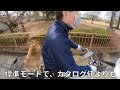 【094】ヤマハpasチアお犬様仕様