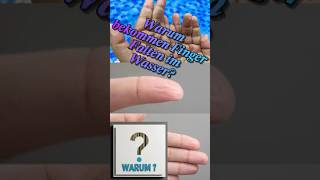 Warum bekommen Finger Falten im Wasser? #warum #wissenschaft #biology