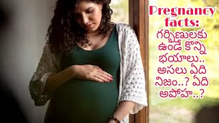 Pregnancy facts:        గర్భిణులకు ఉండే కొన్ని       భయాలు అసలు ఏది నిజం..?      ఏది అపోహ..?