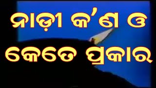 Part 1 ବାୟୁ ସାଧାନା ଠାରୁ ସାଧନା ନାହିଁ, ପୃଥ୍ଵୀ, ଜଳ ` ଅଗ୍ନି ନାଡୀ, ଇନ୍ଦ୍ରିୟ କଣ