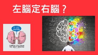 心理學入門04: 左右腦的分別，腦額葉的位置和功能