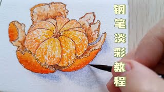 钢笔淡彩教程|橘子🍊|含讲解