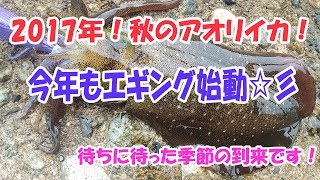 【エギング】秋イカいよいよ始動！今年もこのシーズンがやってきました☆彡