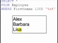 SQL query tutorial (wildcard queries)