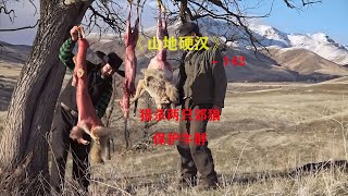 山地硬漢142：為了保護牛群，獵殺兩只郊狼