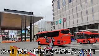 🎃【再開発】松山市駅前再整備進捗状況 2024年(令和6年)10月下旬4🎃